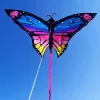 beautiful butterfly kite, butterfly kite