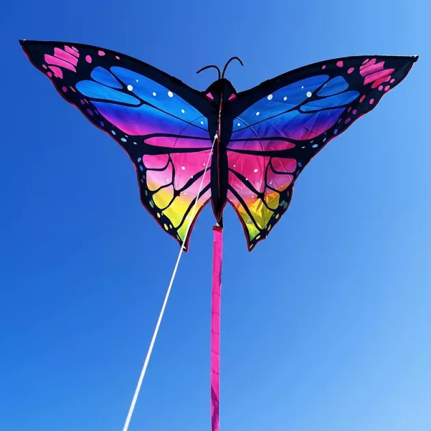 beautiful butterfly kite, butterfly kite