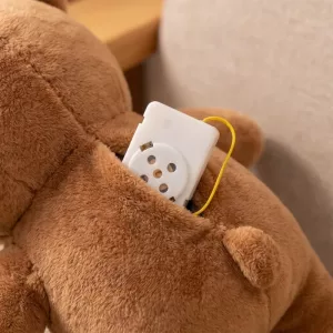 Voice Box Recorder for Stuffed Animals
