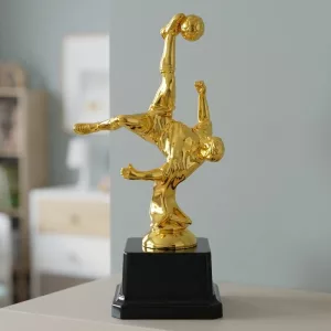 football trophy, golden football trophy