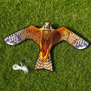 Single-Line Bird Flying Kite Toy for Kids