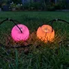 poi light up balls, led poi ball