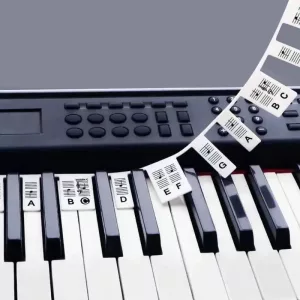 removable piano keyboard note labels